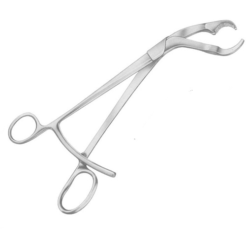 VERBRUGGE Bone Holding Forceps 25 cm