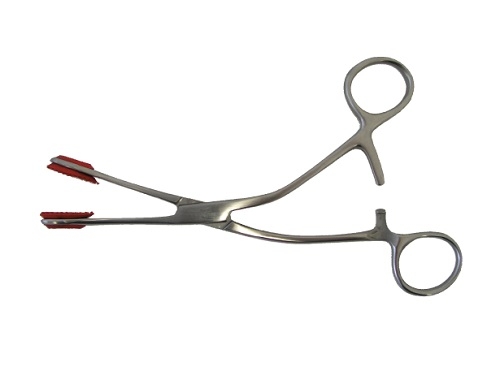 YOUNG  Forceps 17cm 6.75 inches