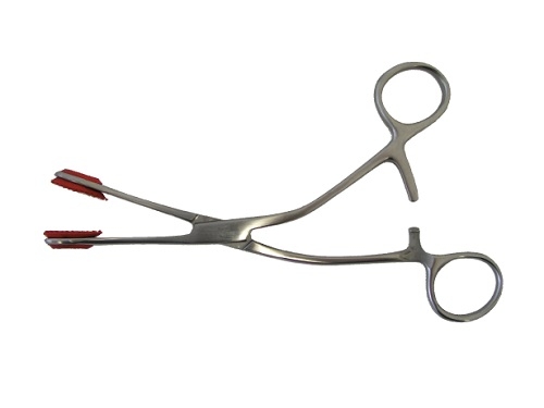 YOUNG Forceps 17cm 6.75 inches