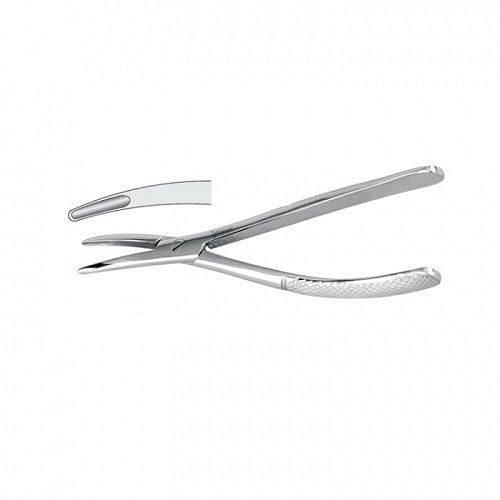 Extracting Forceps For Cats & Whelps