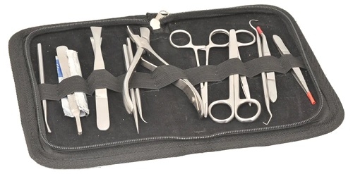 Dissecting Set With 12 Instruments
