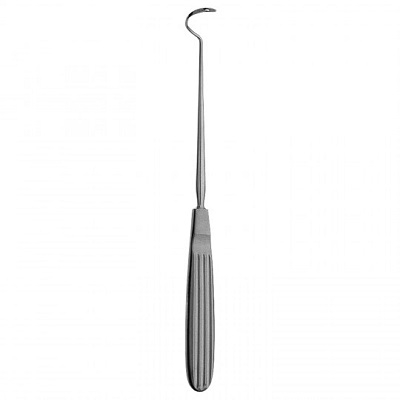 Deschamps Ligature Needle 22cm Blunt 