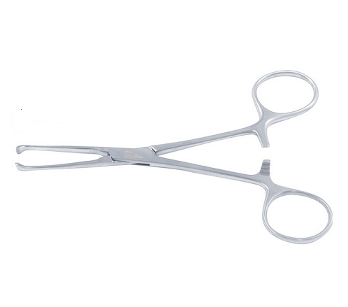 ALLIS Intestinal Forceps 5:6 Teeth 19 cm