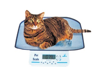 Digital Veterinary Scale for small Animals