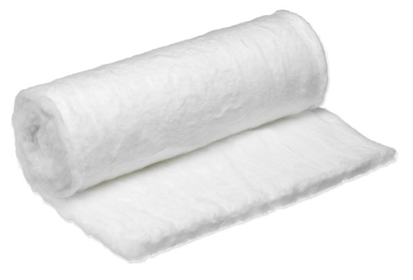 Cotton Wool Roll 25g White 