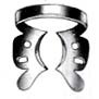 Molar Clamps - Winged