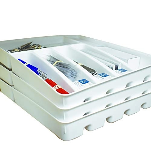 Large Classroom Dissecting Kit