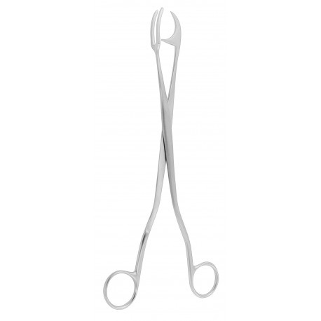 ROGGE Sterilizing Forceps 23 cm