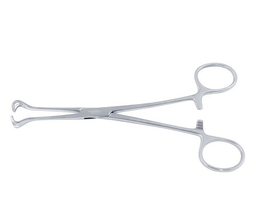 BABCOCK Intestinal Forceps 24 cm