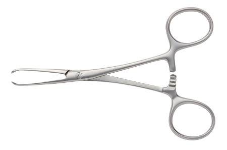 PORRIER Intestinal Forceps 2:3 Teeth 12.5 cm