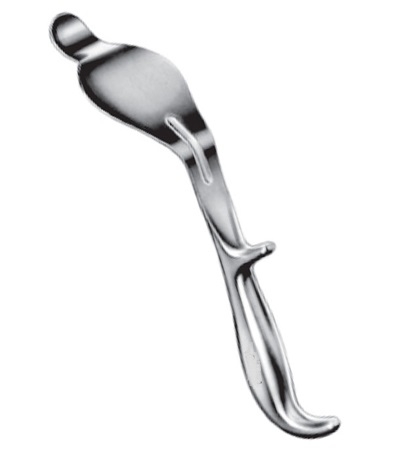 BENNETT Bone Lever 45 x 260mm 24 cm