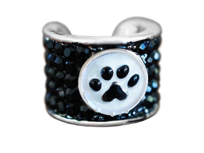 Stethoscope Charm Paw Print