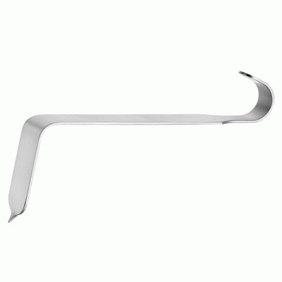 TAYLOR Bone Lever 100 x 30mm 16.5 cm