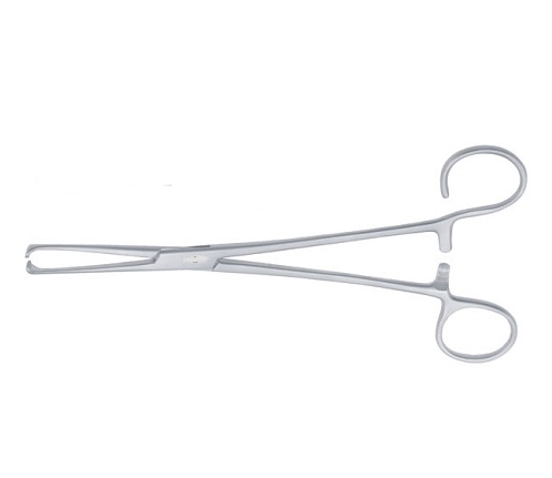 COLVER Tonsil Seizing Forceps Straight 19 cm