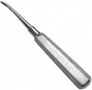 Equine Elevator Incisor Fragement Head 6mm Length 4mm