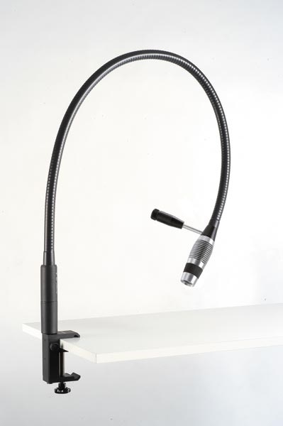 Riester Desk Mounted Ri-Magic LED Examination Light 