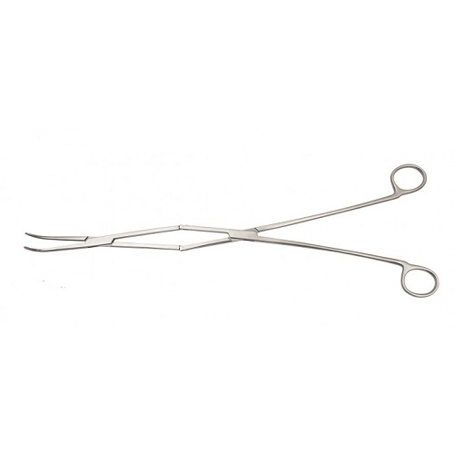 Equine Periodontal Diastema Forceps 41 cm