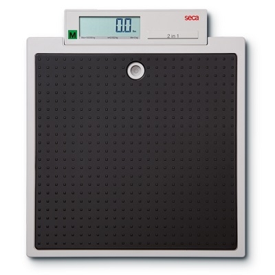 SECA 813 Digital Flat Scale 