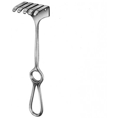 Israel 25cm 40x40mm 4 Prongs/Blunt