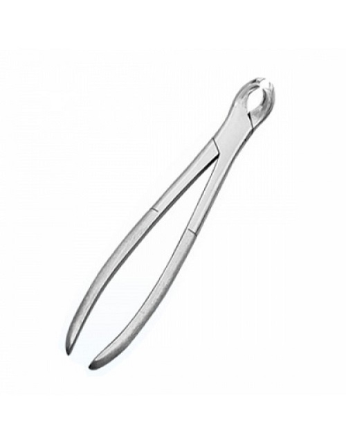 Gowings Extracting Forceps 28cm