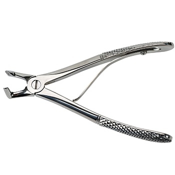 Extracting Forceps 23 For Small Animals