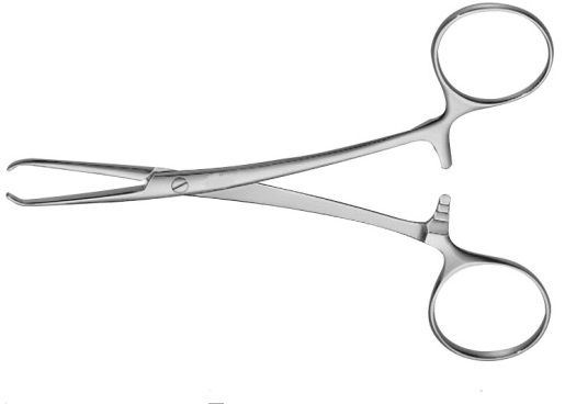 PORRIER Artery Forceps & Tissue Seizing Forceps 12.5 cm