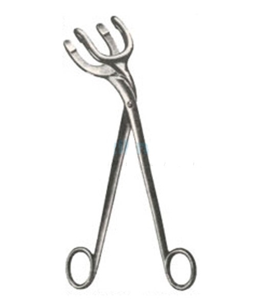 PYE-SMITH (HARRISON) Sterlizing Forceps 30 cm
