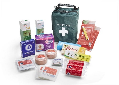 Travel First Aid Kit  Insect Repellant 