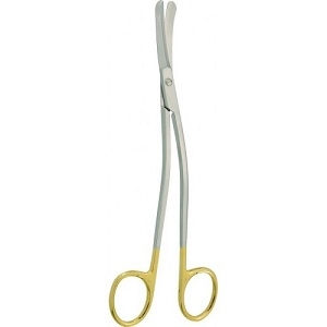 Wilkinson Scissors